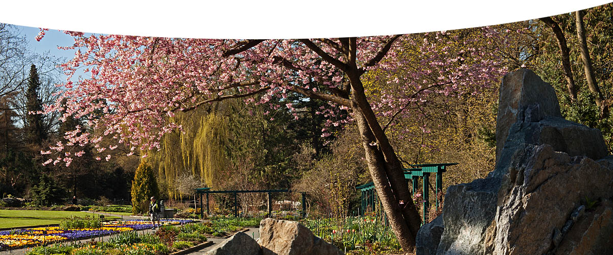 Frühling im Botansichen Garten