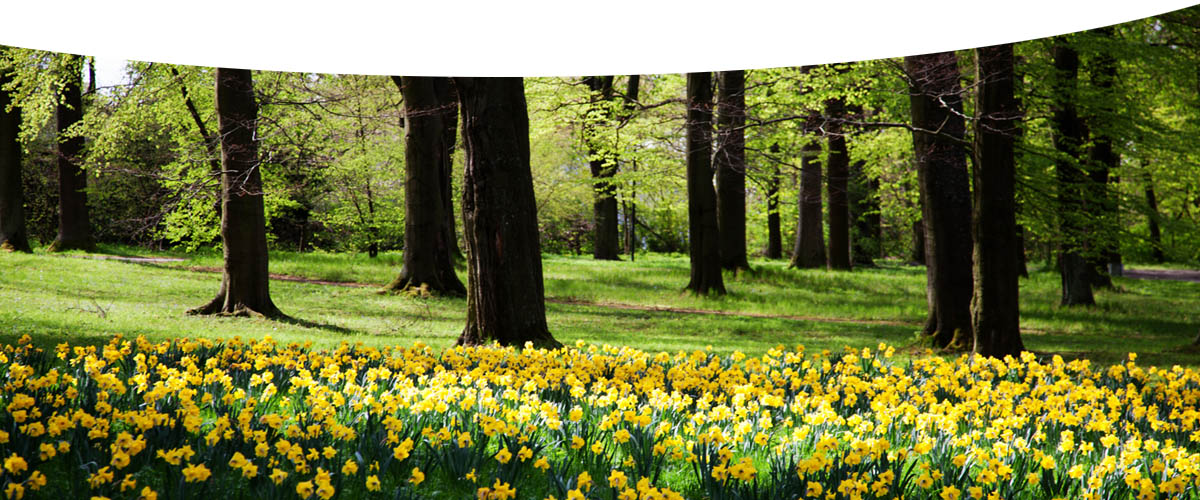 Frühling im Theresienstein